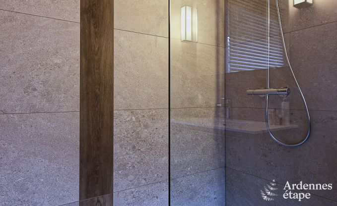 Ferienhaus Libramont-Chevigny 15 Pers. Ardennen Wellness