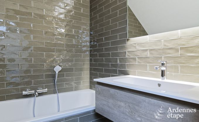 Ferienhaus Libramont-Chevigny 15 Pers. Ardennen Wellness