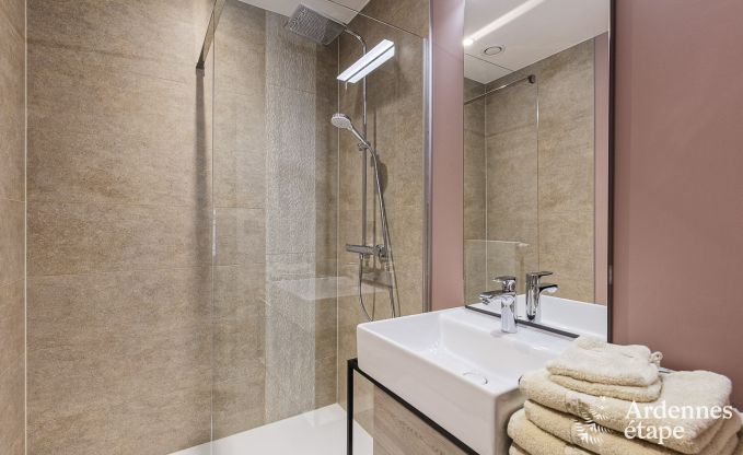 Ferienhaus Libramont-Chevigny 15 Pers. Ardennen Wellness