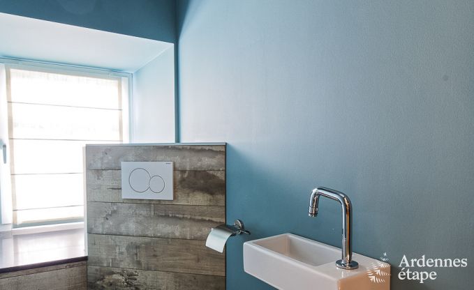 Ferienhaus Libramont-Chevigny 15 Pers. Ardennen Wellness