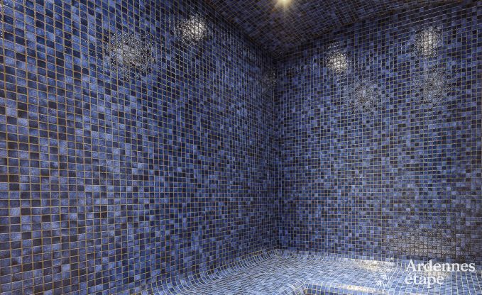 Ferienhaus Libramont-Chevigny 15 Pers. Ardennen Wellness