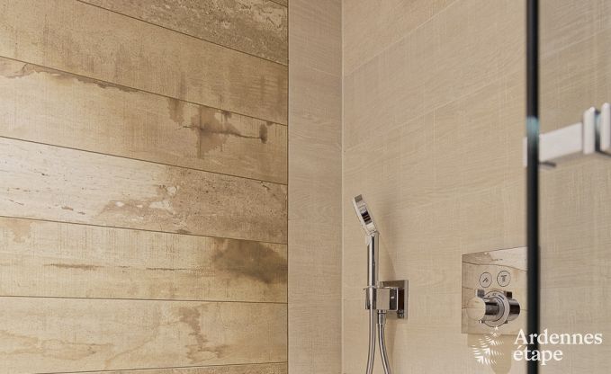 Ferienhaus Libramont-Chevigny 15 Pers. Ardennen Wellness