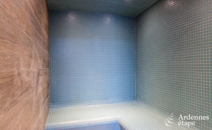 Ferienhaus Libramont-Chevigny 15 Pers. Ardennen Wellness