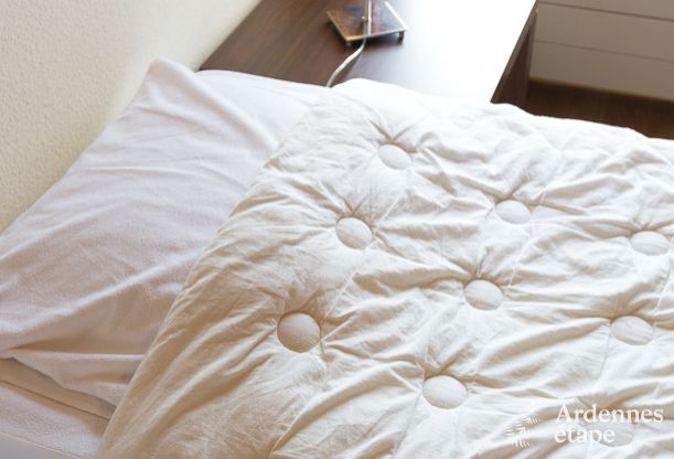 Ferienhaus Libramont 15 Pers. Ardennen