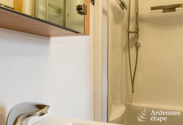 Ferienhaus Libramont 15 Pers. Ardennen