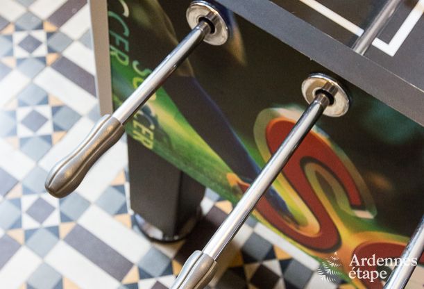 Ferienhaus Libramont 15 Pers. Ardennen