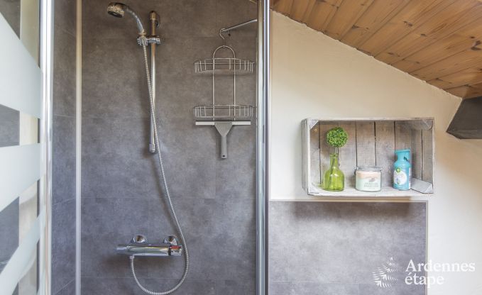 Ferienhaus Libramont 4/5 Pers. Ardennen