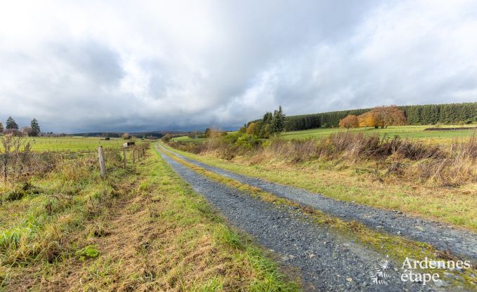 Kinderfreundliches Ferienhaus in Libramont fr 22 Personen mit Garten und Spielzimmer