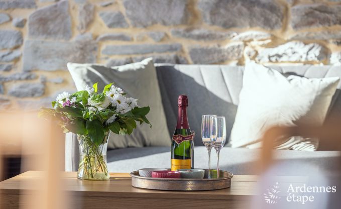 Ferienhaus in Libramont fr 10 Personen mit Privatterrasse und 6 Schlafzimmern