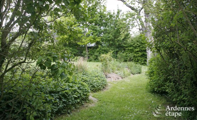 Ferienhaus Lierneux 8 Pers. Ardennen