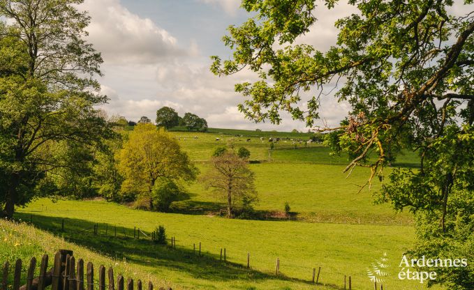 Ferienhaus Lierneux 15 Pers. Ardennen Wellness