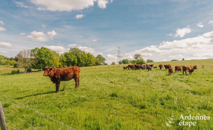 Ferienhaus Lierneux 15 Pers. Ardennen Wellness