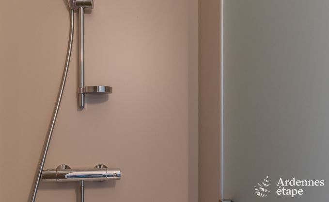 Ferienhaus Lierneux 15 Pers. Ardennen Wellness