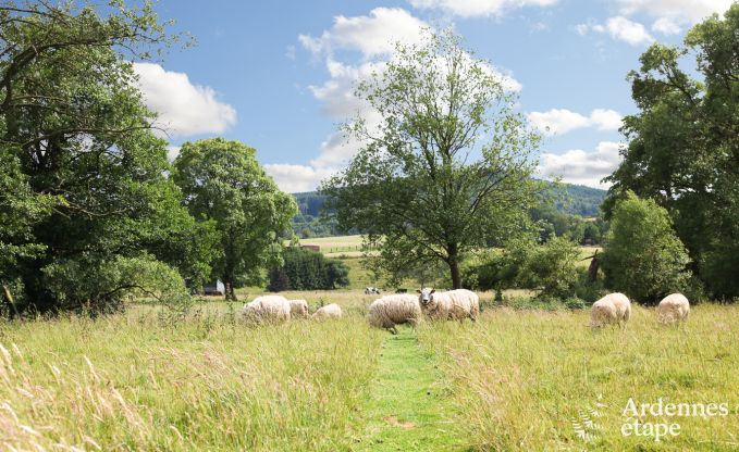 Wohnung Malmedy 7 Pers. Ardennen