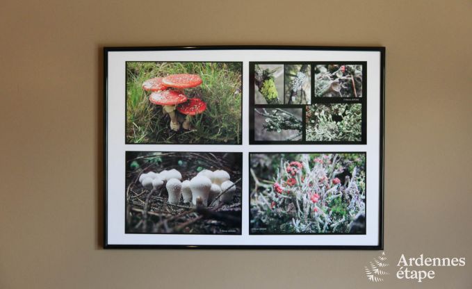 Wohnung Malmedy 7 Pers. Ardennen