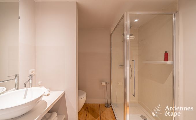 Charmantes und stilvolles Bauernhaus fr 14 Personen und 2 Hunde in Manhay