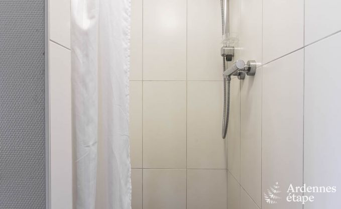 Ferienhaus Manhay 30 Pers. Ardennen Wellness