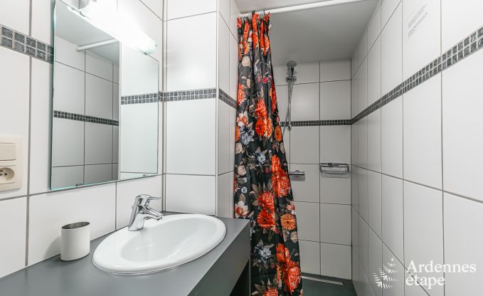 Ferienhaus mit Sauna und Spielen Manhay 20 Pers. Ardennen Wellness