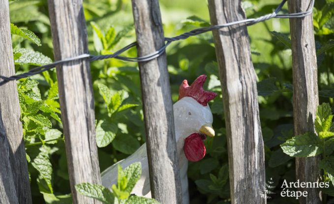 Ferienhaus mit Sauna und Spielen Manhay 20 Pers. Ardennen Wellness