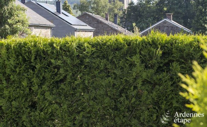 Ferienhaus mit Sauna und Spielen Manhay 20 Pers. Ardennen Wellness