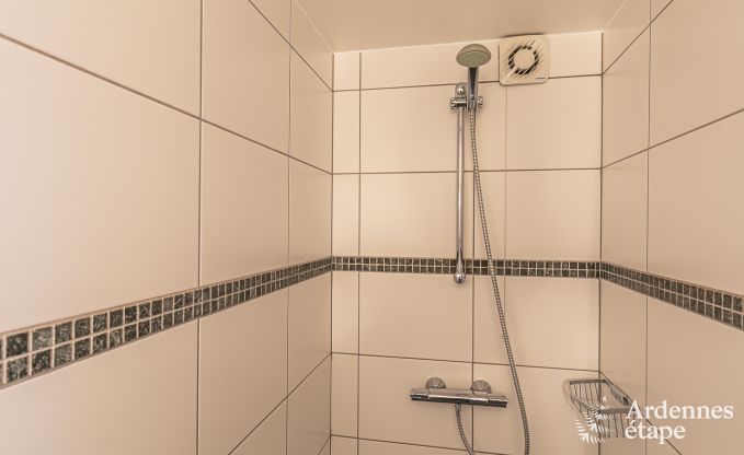 Ferienhaus mit Sauna und Spielen Manhay 20 Pers. Ardennen Wellness