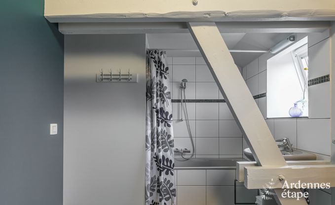 Ferienhaus mit Sauna und Spielen Manhay 20 Pers. Ardennen Wellness