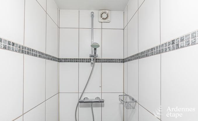 Ferienhaus mit Sauna und Spielen Manhay 20 Pers. Ardennen Wellness