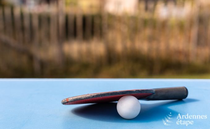 Ferienhaus Manhay 10 Pers. Ardennen Wellness