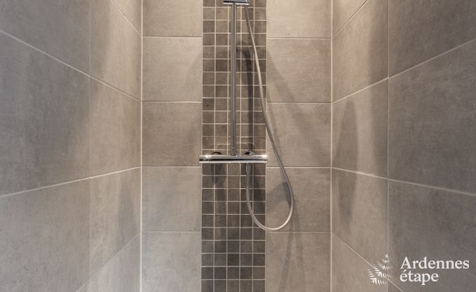 Ferienhaus Manhay 10 Pers. Ardennen Wellness