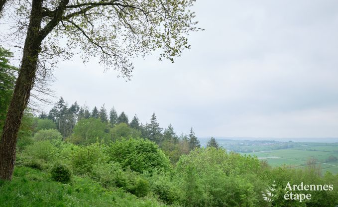 Holzchalet fr 6 Personen inmitten der Natur in Marche-en-Famenne, Ardennen
