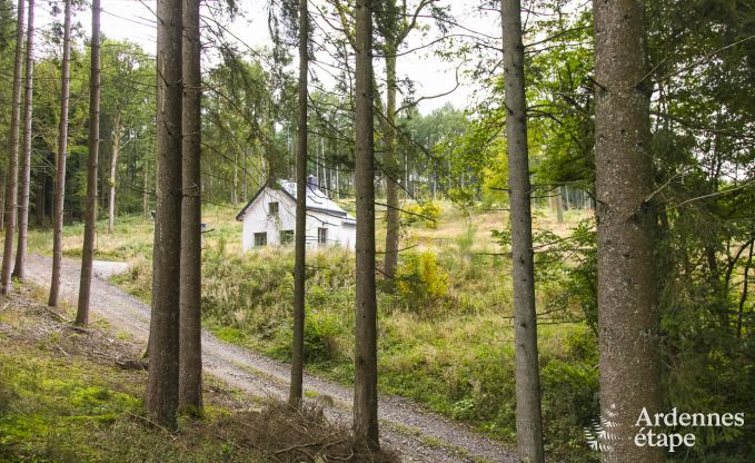 Ferienhaus Marche-en-Famenne 2/4 Pers. Ardennen