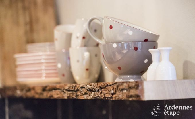 Ferienhaus Marche-en-Famenne 2/4 Pers. Ardennen