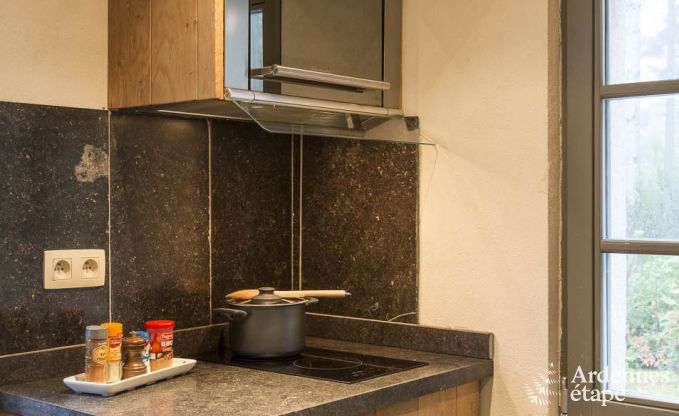 Ferienhaus Marche-en-Famenne 2/4 Pers. Ardennen