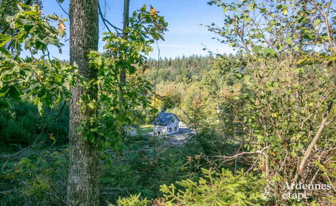 Ferienhaus Marche-en-Famenne 2/4 Pers. Ardennen