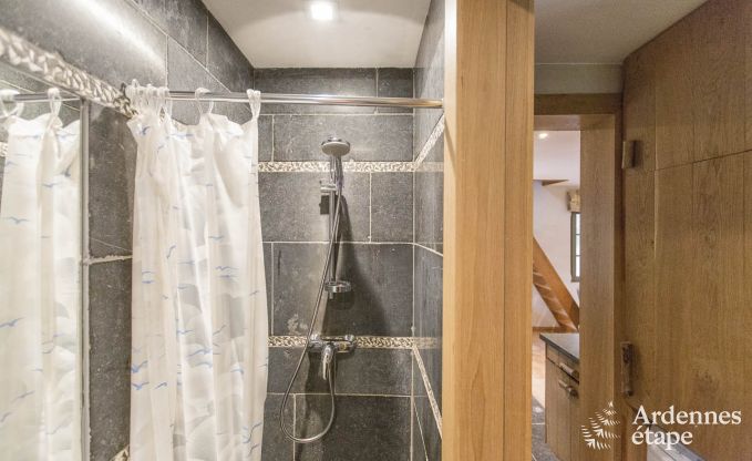 Ferienhaus Marche-en-Famenne 2/4 Pers. Ardennen