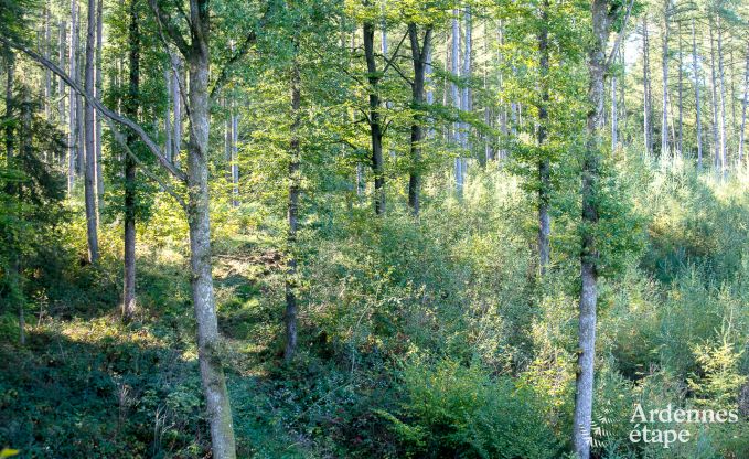 Ferienhaus Marche-en-Famenne 2/4 Pers. Ardennen