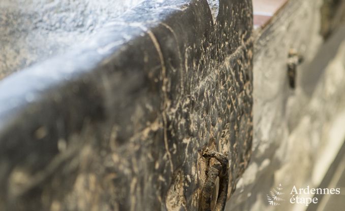 Ferienhaus Maredsous 14 Pers. Ardennen