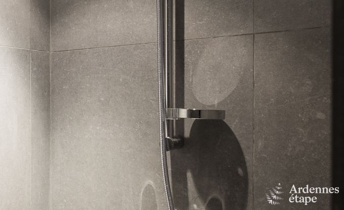 Ferienhaus Maredsous 14 Pers. Ardennen