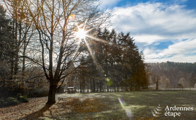 Ferienhaus Momignies 8 Pers. Ardennen Wellness