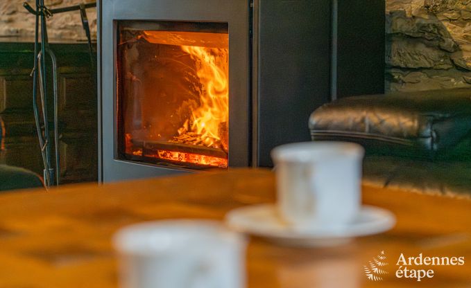 Ferienhaus Neufchteau 8 Pers. Ardennen