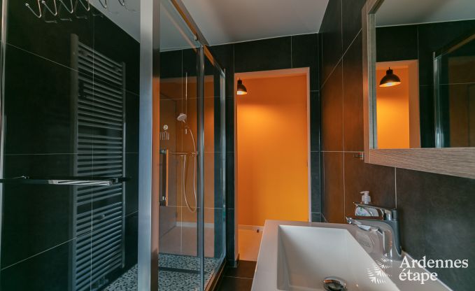 Ferienhaus Neufchteau 18/23 Pers. Ardennen