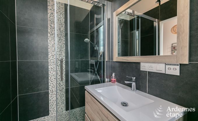 Ferienhaus Neufchteau 18/23 Pers. Ardennen