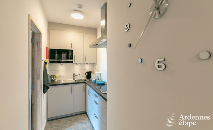 Ferienhaus Neufchteau 18/23 Pers. Ardennen