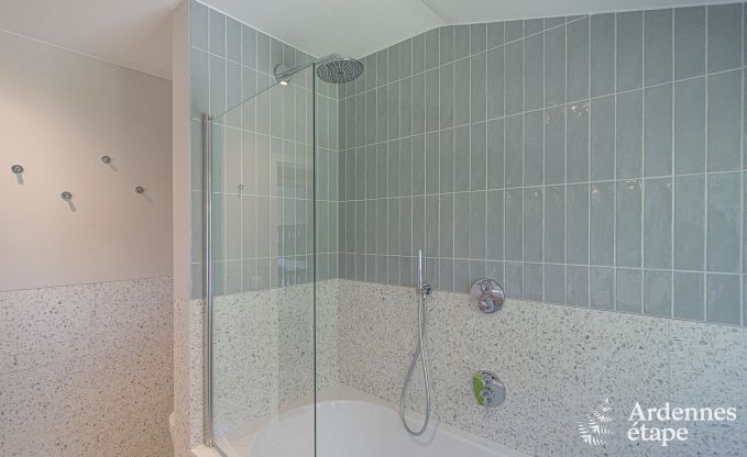 Luxusvilla Ohey 14 Pers. Ardennen Wellness