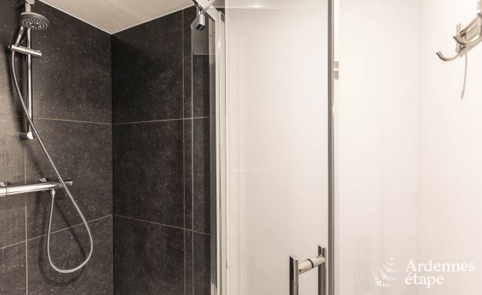 Wunderbar Ferienhaus in Onhaye mit Pool, Jacuzzi, Sauna und Spielzimmer fr 14 Personen in der Nhe von Dinant