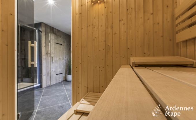 Wunderbar Ferienhaus in Onhaye mit Pool, Jacuzzi, Sauna und Spielzimmer fr 14 Personen in der Nhe von Dinant