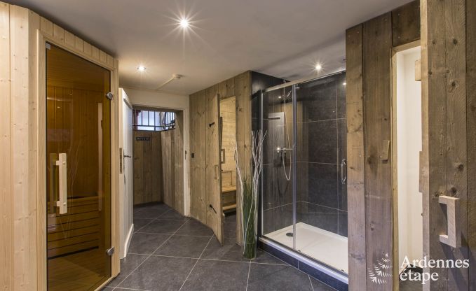 Wunderbar Ferienhaus in Onhaye mit Pool, Jacuzzi, Sauna und Spielzimmer fr 14 Personen in der Nhe von Dinant