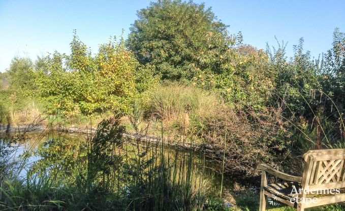 Ferienhaus Oteppe 2 Pers. Ardennen Schwimmbad Wellness