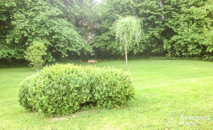 Ferienhaus Oteppe 2 Pers. Ardennen Schwimmbad Wellness