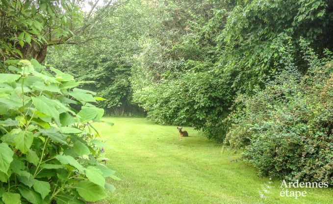 Ferienhaus Oteppe 2 Pers. Ardennen Schwimmbad Wellness